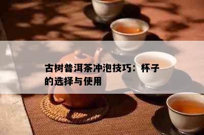 古树普洱茶冲泡技巧：杯子的选择与使用