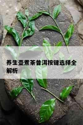 养生壶煮茶普洱按键选择全解析