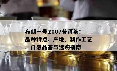 布朗一号2007普洱茶：品种特点、产地、制作工艺、口感品鉴与选购指南