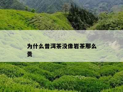 为什么普洱茶没像岩茶那么贵