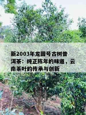 新2003年龙圆号古树普洱茶：纯正陈年的味道，云南茶叶的传承与创新