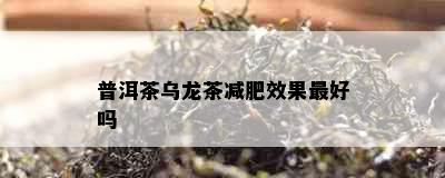 普洱茶乌龙茶减肥效果更好吗