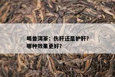 喝普洱茶：伤肝还是护肝？哪种效果更好？