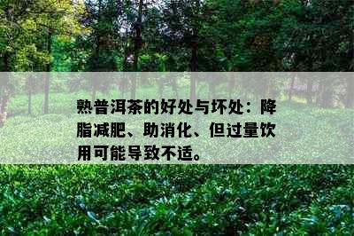 熟普洱茶的好处与坏处：降脂减肥、助消化、但过量饮用可能导致不适。