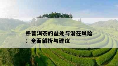 熟普洱茶的益处与潜在风险：全面解析与建议