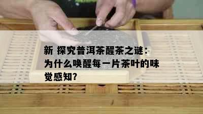 新 探究普洱茶醒茶之谜：为什么唤醒每一片茶叶的味觉感知？