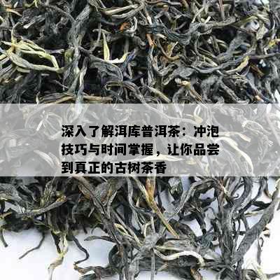 深入了解洱库普洱茶：冲泡技巧与时间掌握，让你品尝到真正的古树茶香