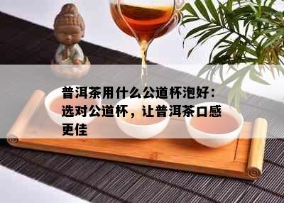 普洱茶用什么公道杯泡好：选对公道杯，让普洱茶口感更佳