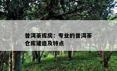 普洱茶库房：专业的普洱茶仓库建造及特点