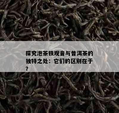 探究泡茶铁观音与普洱茶的独特之处：它们的区别在于？