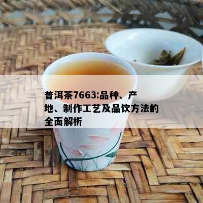 普洱茶7663:品种、产地、制作工艺及品饮方法的全面解析