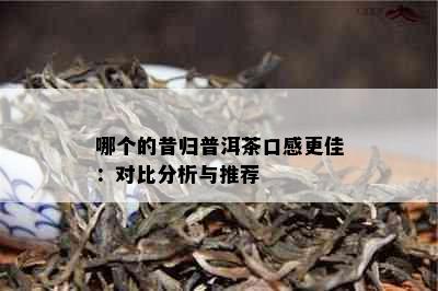 哪个的昔归普洱茶口感更佳：对比分析与推荐