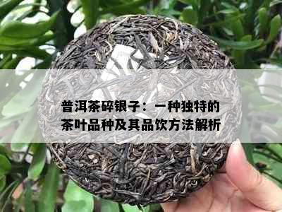 普洱茶碎银子：一种独特的茶叶品种及其品饮方法解析