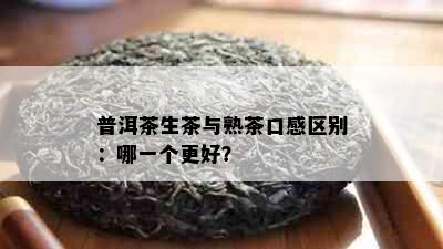 普洱茶生茶与熟茶口感区别：哪一个更好？