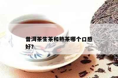 普洱茶生茶和熟茶哪个口感好？