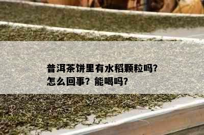 普洱茶饼里有水稻颗粒吗？怎么回事？能喝吗？