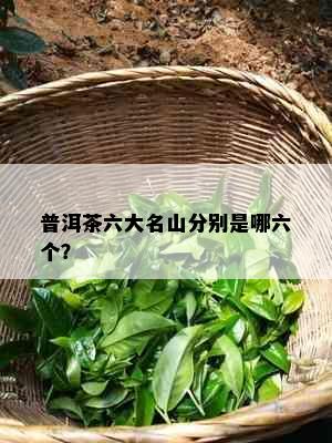 普洱茶六大名山分别是哪六个？