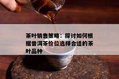 茶叶销售策略：探讨如何根据普洱茶价位选择合适的茶叶品种