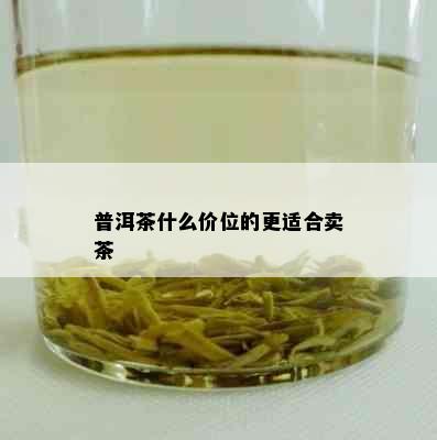 普洱茶什么价位的更适合卖茶