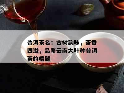 普洱茶名：古树韵味，茶香四溢，品鉴云南大叶种普洱茶的精髓