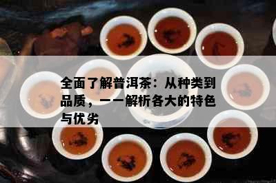 全面了解普洱茶：从种类到品质，一一解析各大的特色与优劣