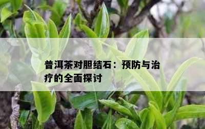 普洱茶对胆结石：预防与治疗的全面探讨