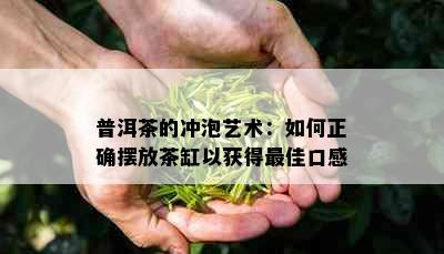 普洱茶的冲泡艺术：如何正确摆放茶缸以获得更佳口感