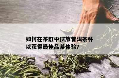 如何在茶缸中摆放普洱茶杯以获得更佳品茶体验？