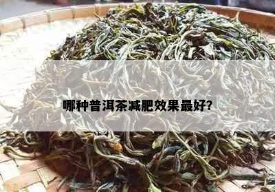 哪种普洱茶减肥效果更好？