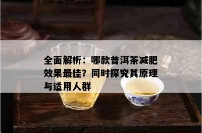 全面解析：哪款普洱茶减肥效果更佳？同时探究其原理与适用人群