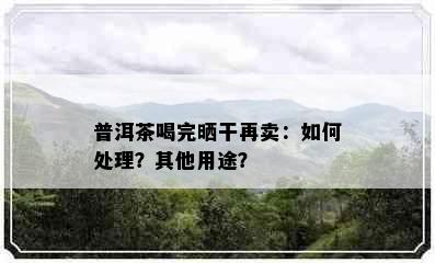 普洱茶喝完晒干再卖：如何处理？其他用途？