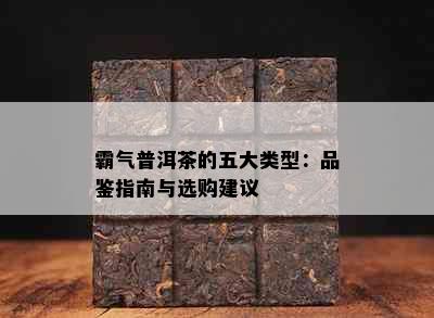 霸气普洱茶的五大类型：品鉴指南与选购建议