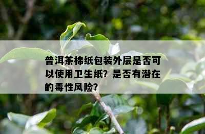 普洱茶棉纸包装外层是否可以使用卫生纸？是否有潜在的性风险？