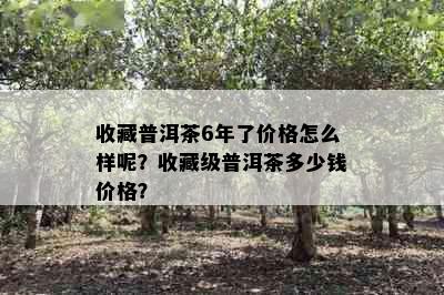 收藏普洱茶6年了价格怎么样呢？收藏级普洱茶多少钱价格？