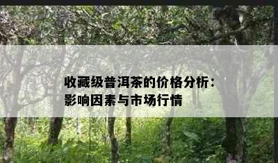 收藏级普洱茶的价格分析：影响因素与市场行情