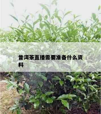 普洱茶直播需要准备什么资料