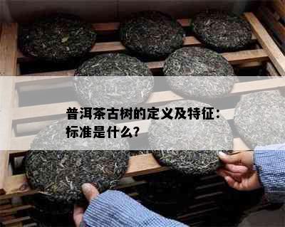 普洱茶古树的定义及特征：标准是什么？