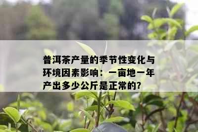 普洱茶产量的季节性变化与环境因素影响：一亩地一年产出多少公斤是正常的？