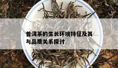 普洱茶的生长环境特征及其与品质关系探讨