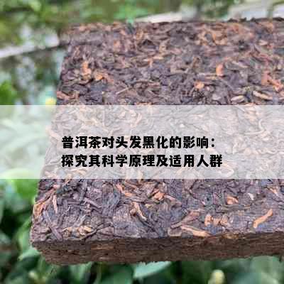 普洱茶对头发黑化的影响：探究其科学原理及适用人群