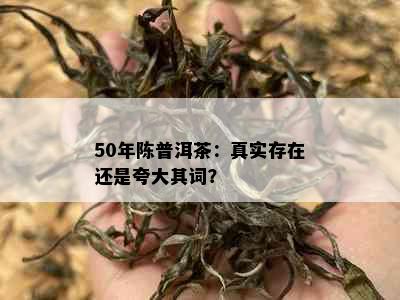 50年陈普洱茶：真实存在还是夸大其词？