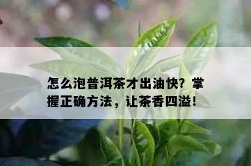 怎么泡普洱茶才出油快？掌握正确方法，让茶香四溢！