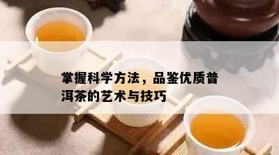 掌握科学方法，品鉴优质普洱茶的艺术与技巧