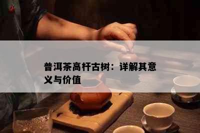 普洱茶高杆古树：详解其意义与价值