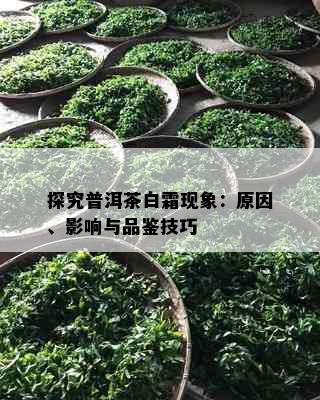 探究普洱茶白霜现象：原因、影响与品鉴技巧