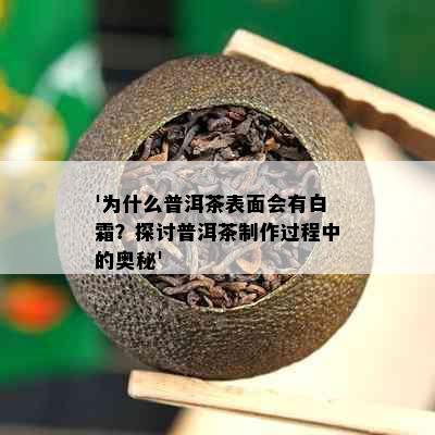 '为什么普洱茶表面会有白霜？探讨普洱茶制作过程中的奥秘'