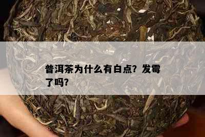 普洱茶为什么有白点？发霉了吗？