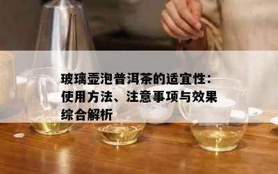 玻璃壶泡普洱茶的适宜性：使用方法、注意事项与效果综合解析