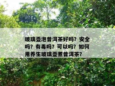 玻璃壶泡普洱茶好吗？安全吗？有吗？可以吗？如何用养生玻璃壶煮普洱茶？