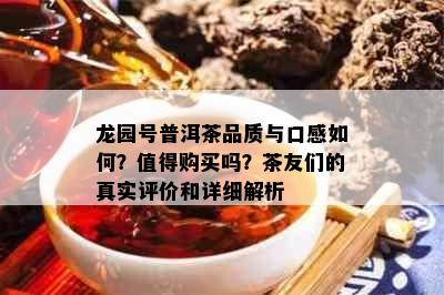 龙园号普洱茶品质与口感如何？值得购买吗？茶友们的真实评价和详细解析